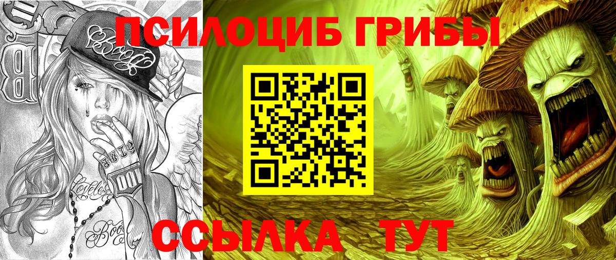 Псилоцибиновые грибы мицелий  сколько стоит  Галлюциногенные грибы прущие грибы  Усть-Кут  Вход с VPN 